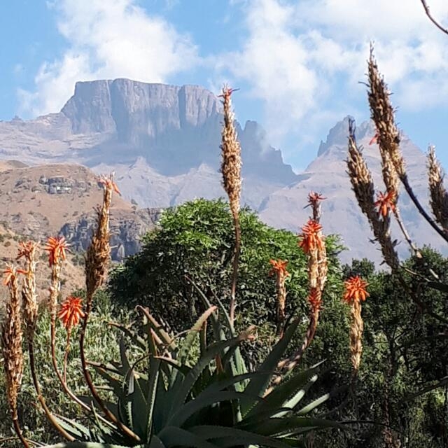 Drakensberg Mountains, South_Africa