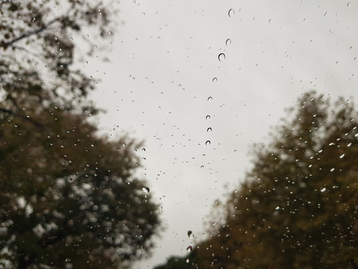 20.11.2018
