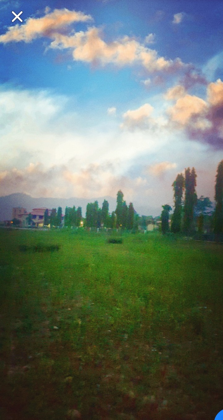 Nature ❤