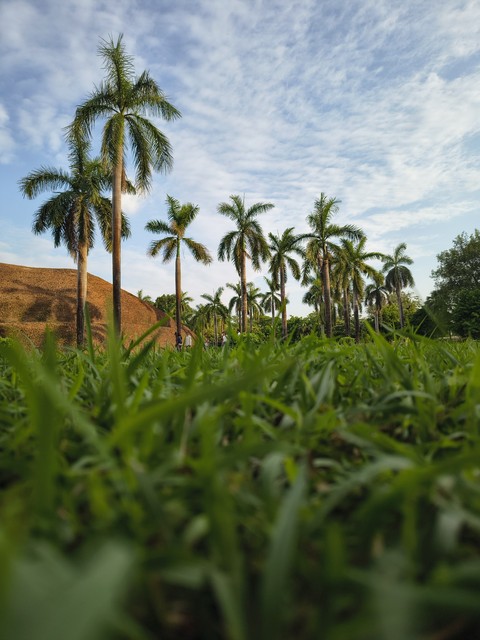 fonds d'écran soil, landscape