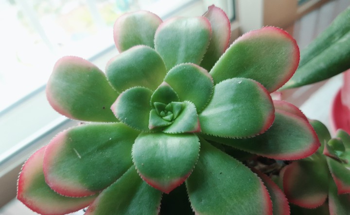 ❤