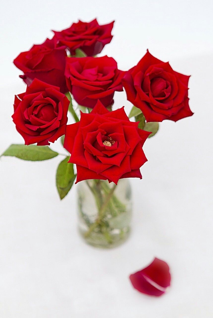 roses