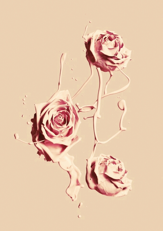 hellen rose