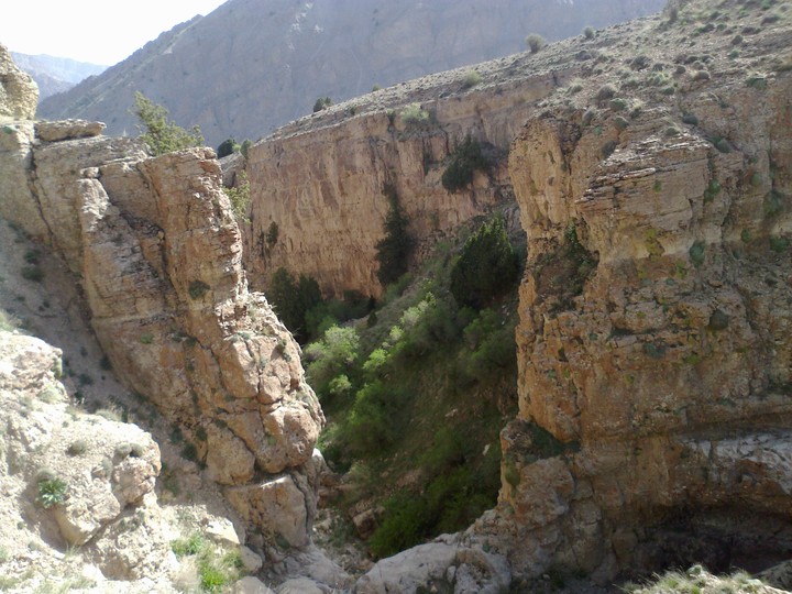 amroodak
