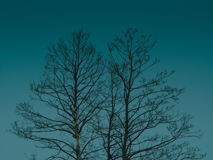 태양은 없다