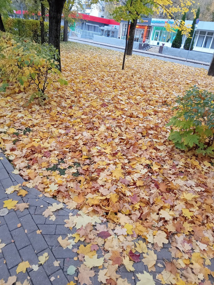 осенний ковер