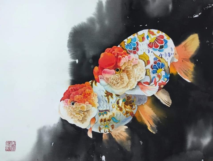 goldfish ranchu 2