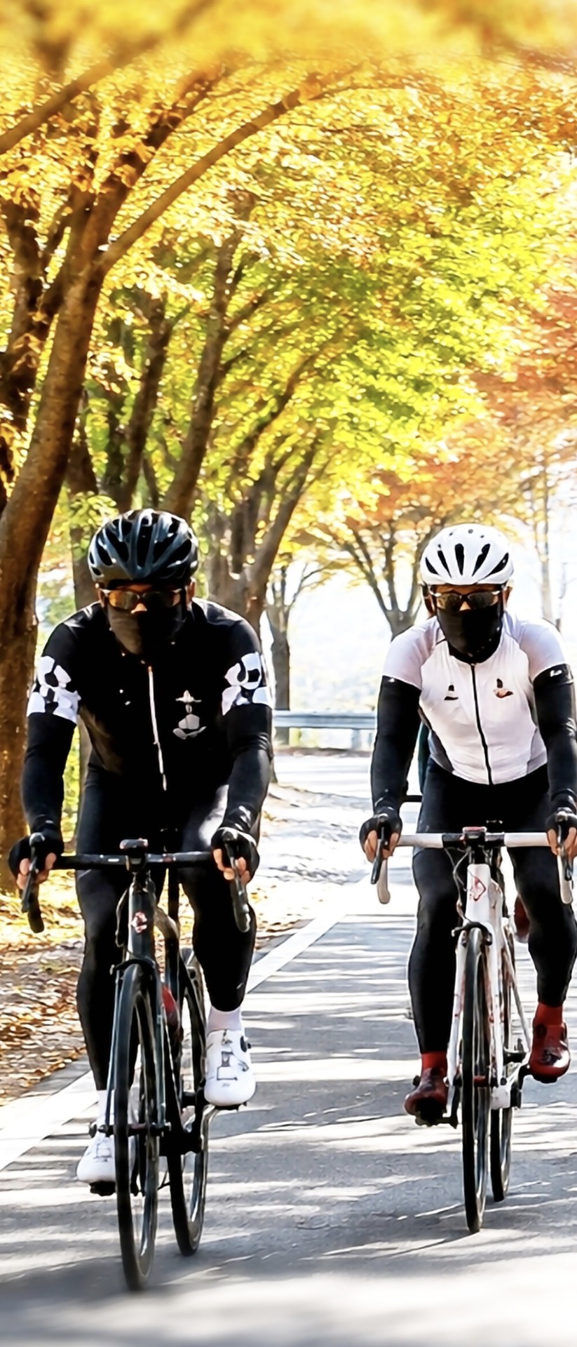 tapety bycycle, bicycle