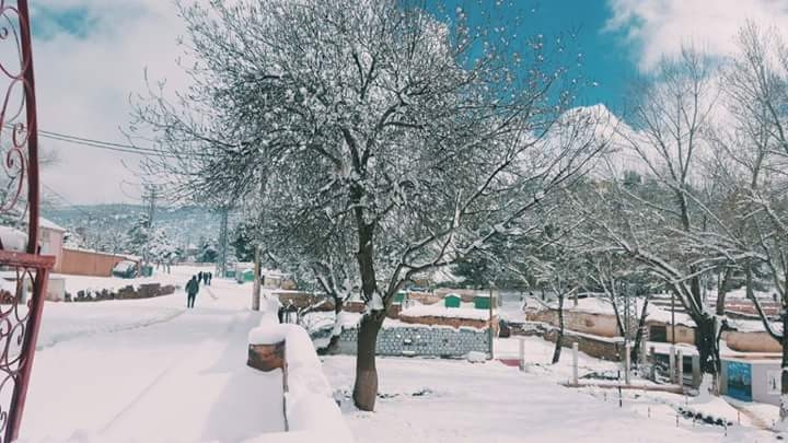 snow
