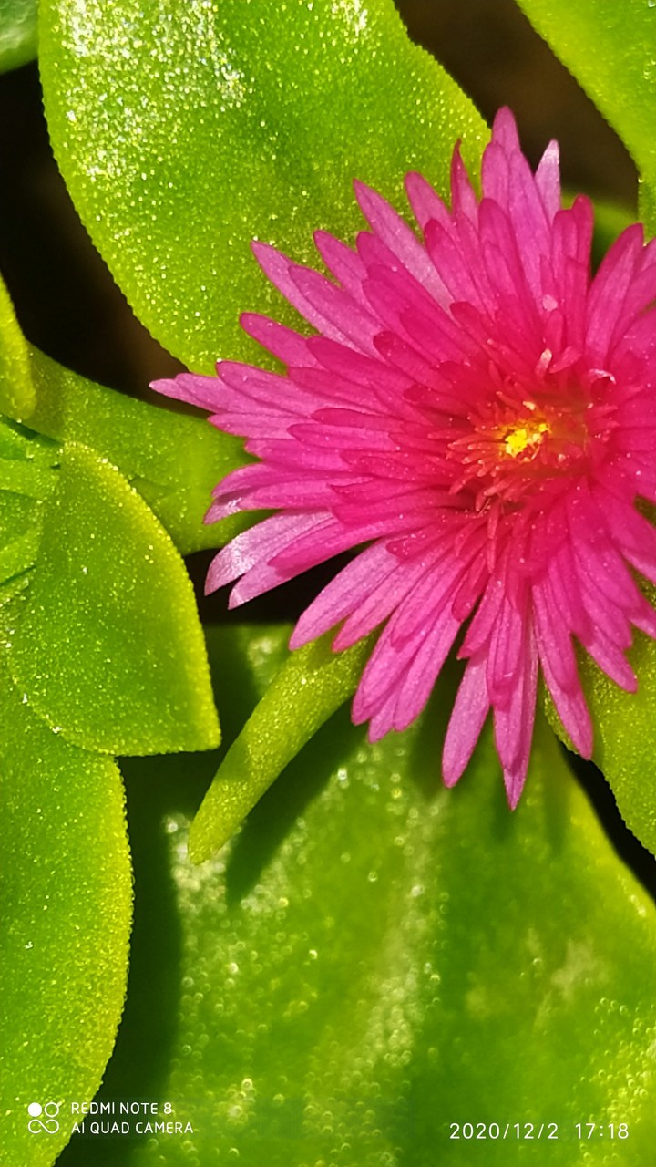 ??
