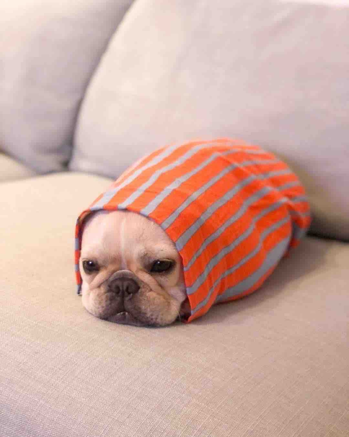 .