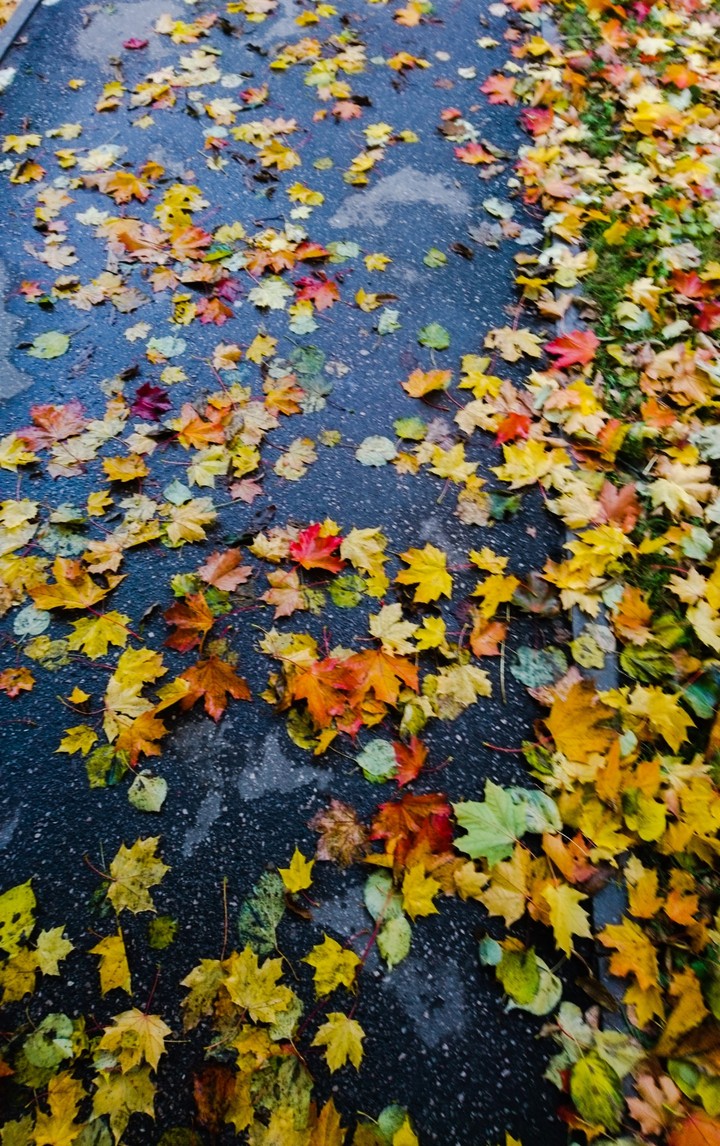 Autumn