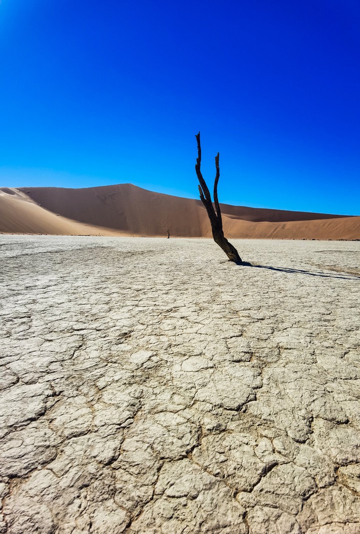 Deadvlei, Sossusvlei, Namibia ??