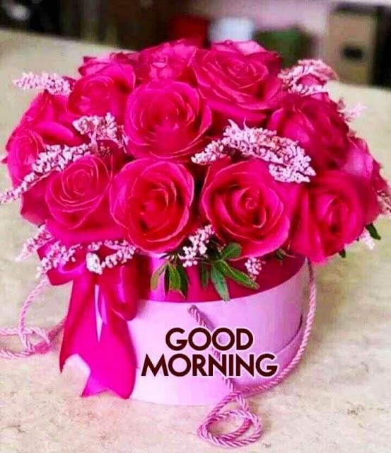 Good morning to all