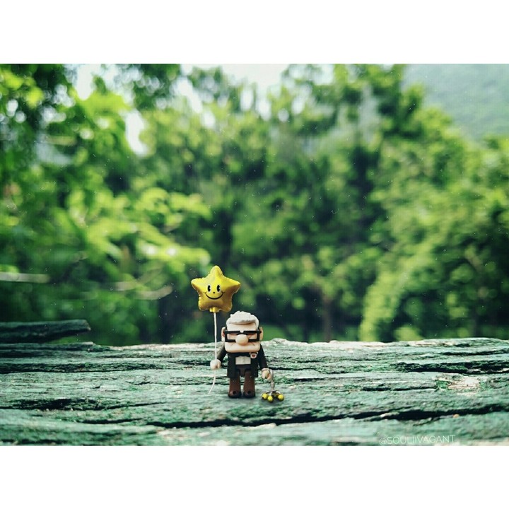 the wilderness must be explored