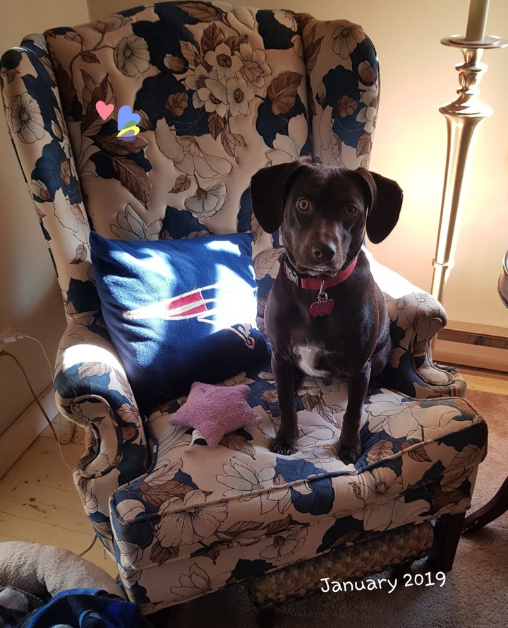 I rescued her.