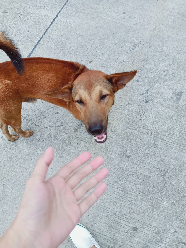 nice to meet you