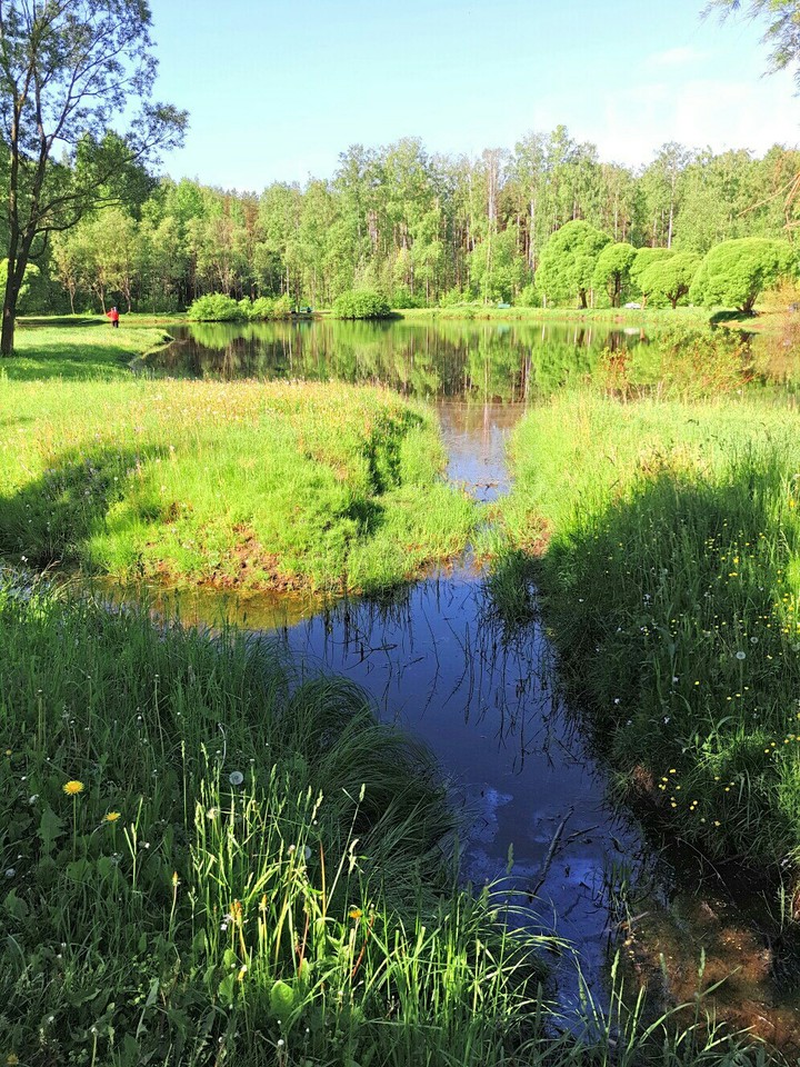Парк