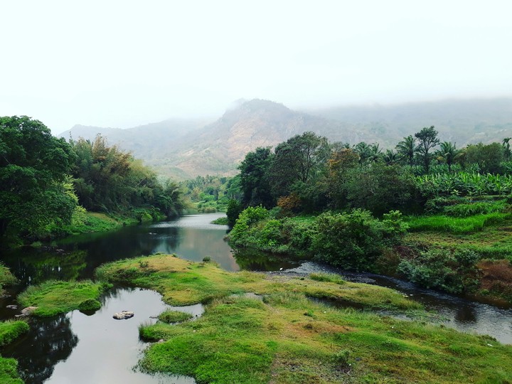 Agali Kerala
