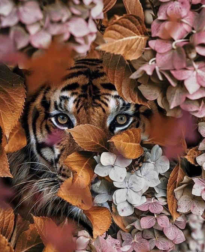 ?
