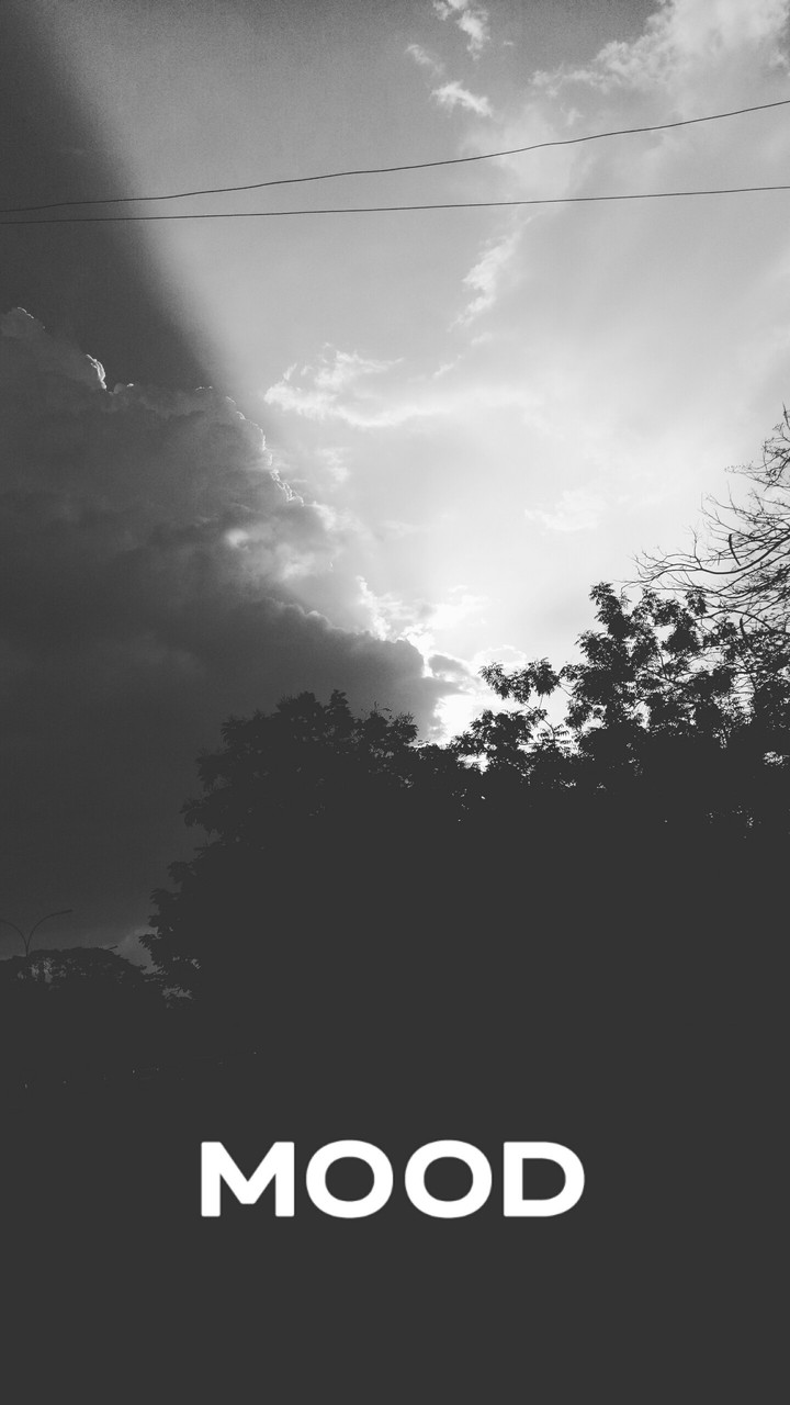 Monochrome