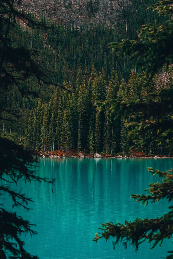 orman