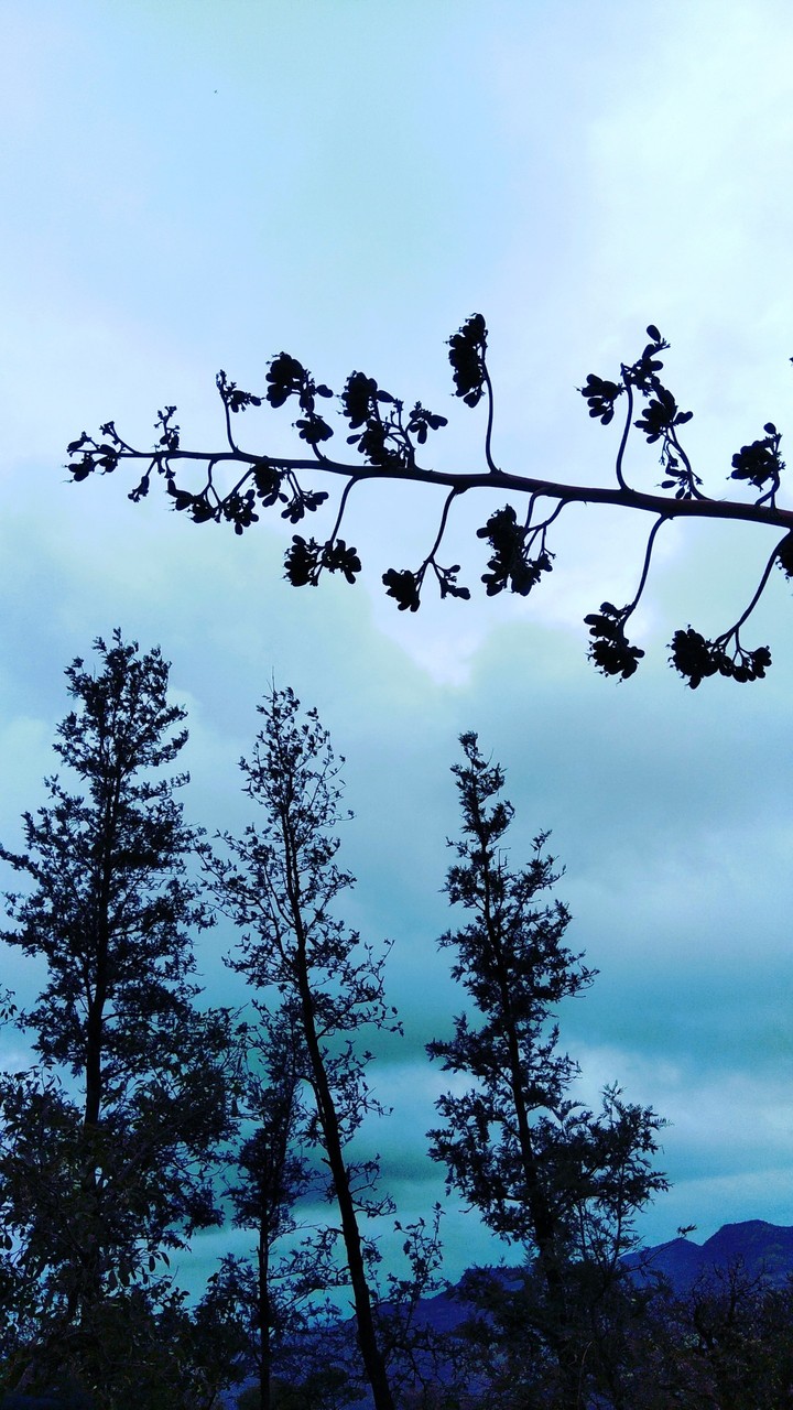 Beautiful nature