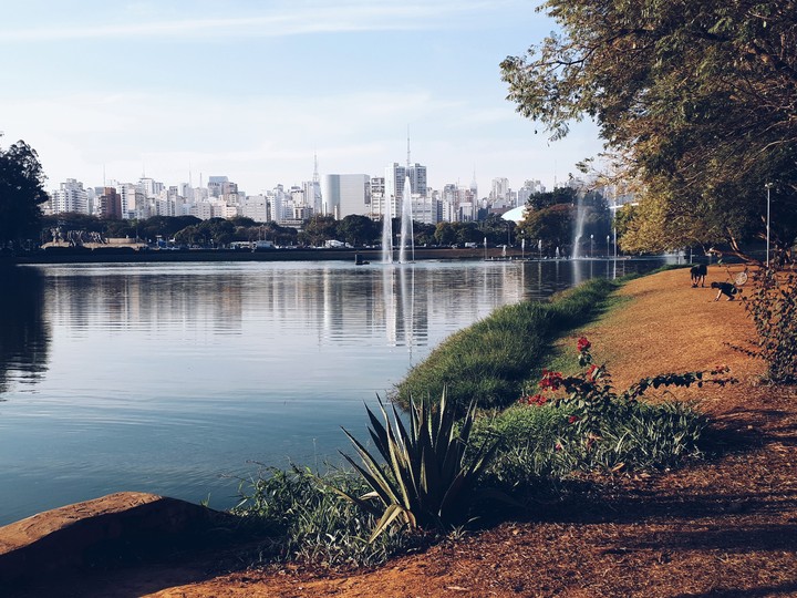 Sao Paulo parc