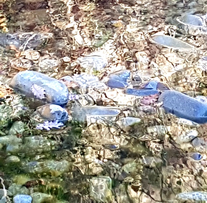 riflesso
