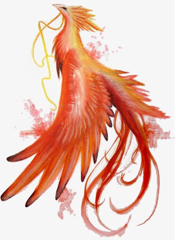 Beauty Bird