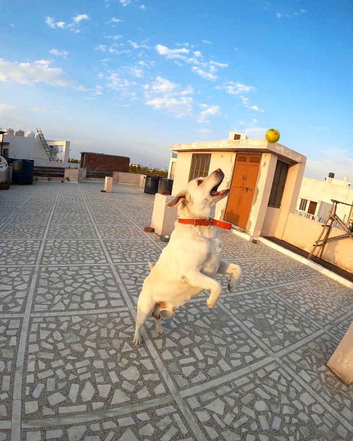 Leap