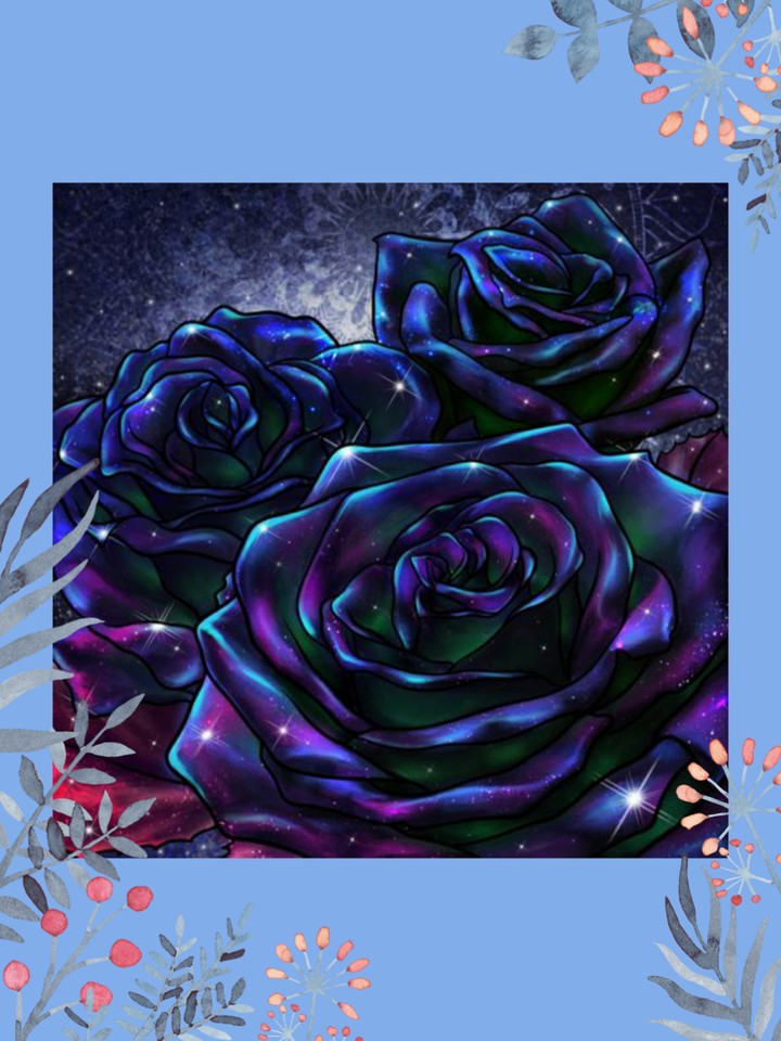 Blue Velvet Roses