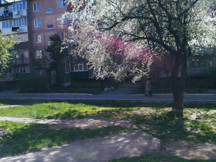 Весна Spring