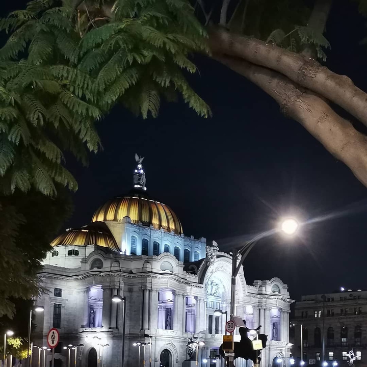 Bellas artes