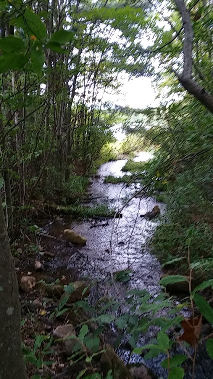 Hickory run creek