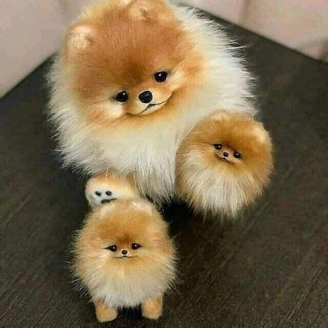 .