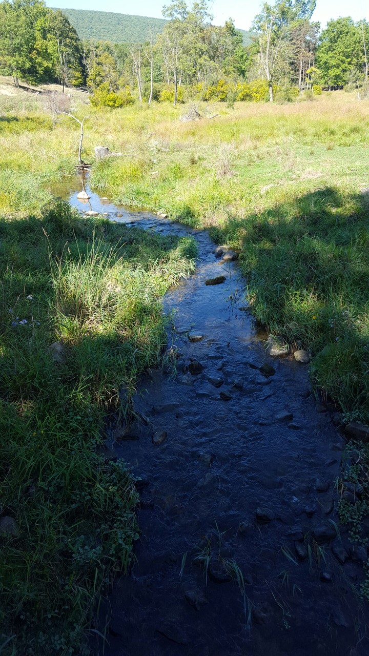 Little Pennsylvania Stream