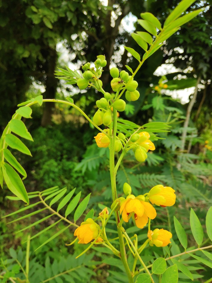Beauty of Nature