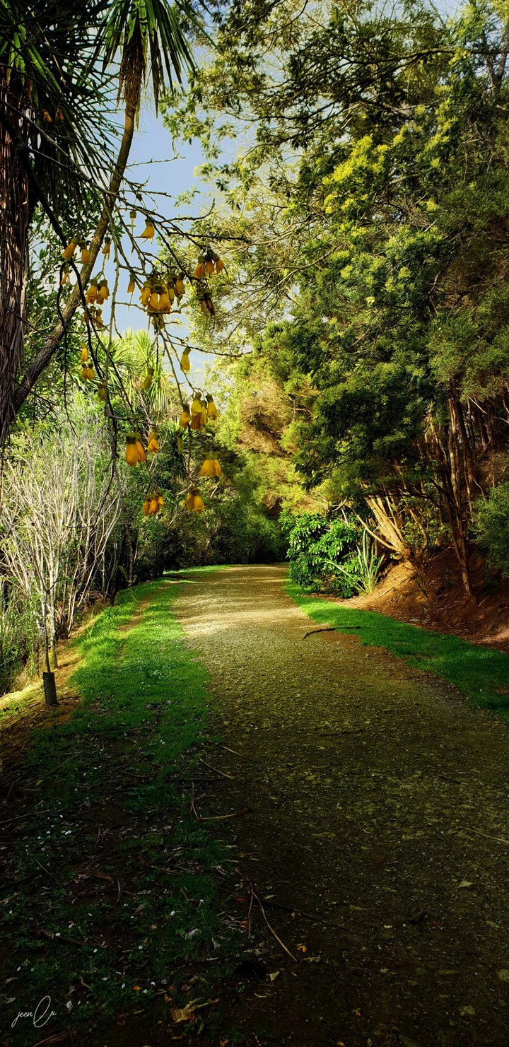 walkway