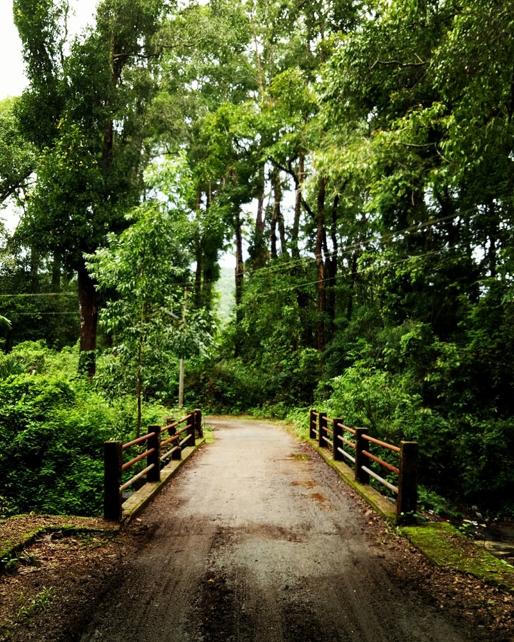 beauty of nature