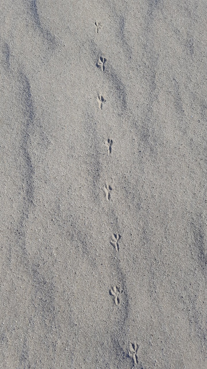 Footprint on Grey beach