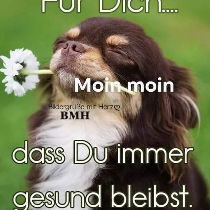 guten Morgen das du immer gesund bleibst mein amico  friend.