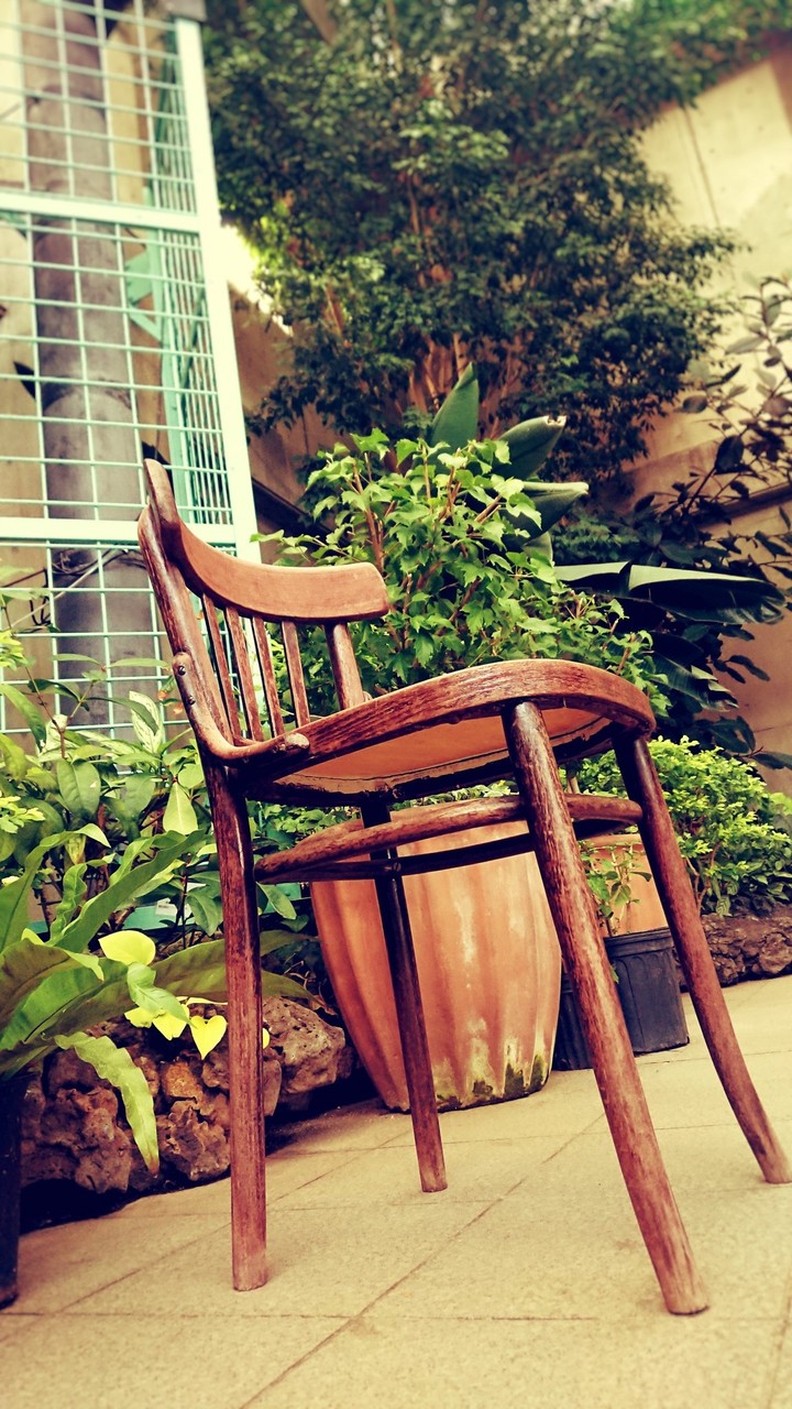 wood chair