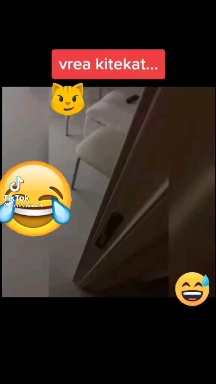 да кит кет !!!???