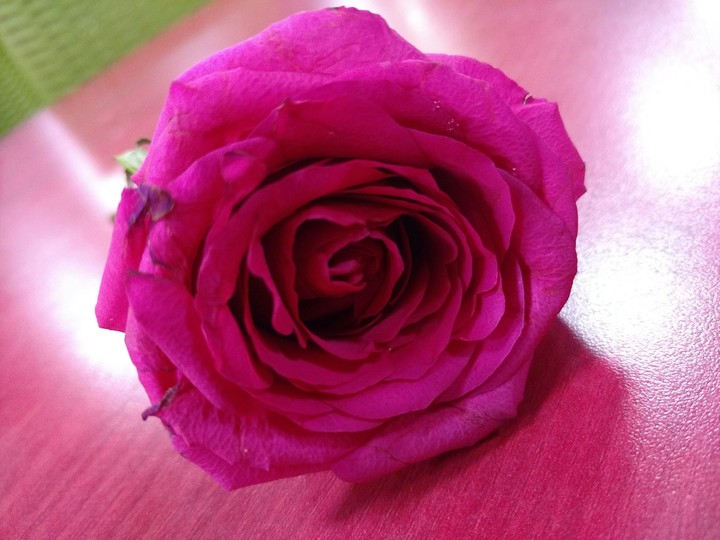 Rose look