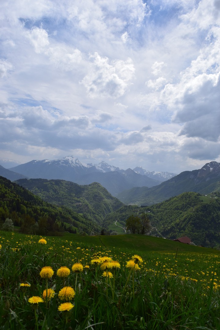 nature