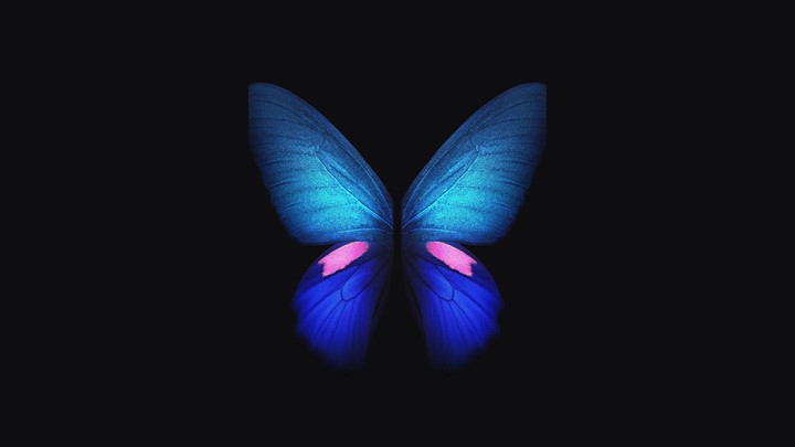 Fold Blue Butterfly Stock 4K