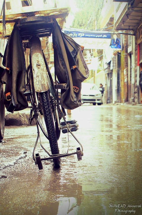the rine in damascus