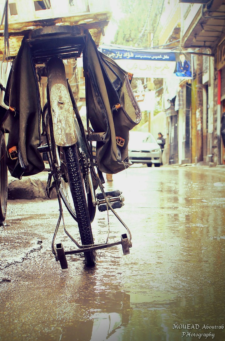 the rine in damascus