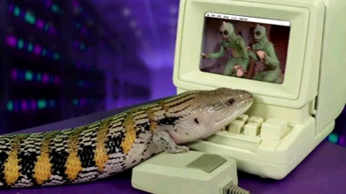er